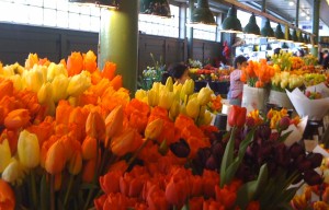 Tulips in the Pike Place Market