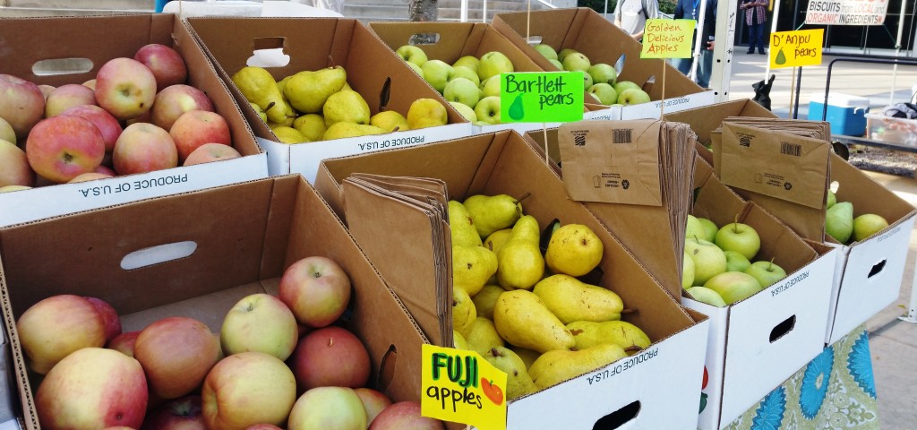 SLU Apples and Pears