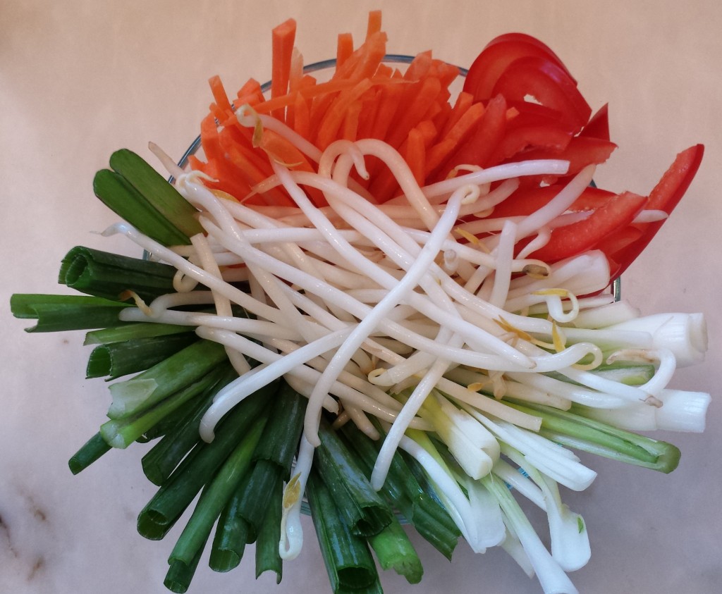 Carrots, red pepper, green onions, mung bean sprouts